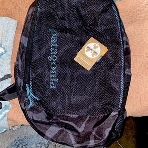 Patagonia backpack
